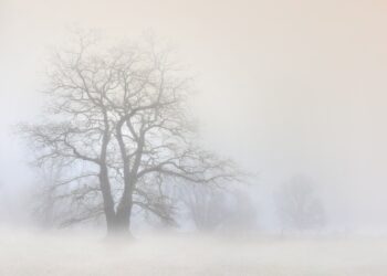 Fot. pixabay.com/ilustracyjne