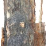 Nowa wystawa w Radiowej Galerii pod Zegarem 6 - Polskie Radio Rzeszów Nowa wystawa w Radiowej Galerii pod Zegarem - Polskie Radio Rzeszów