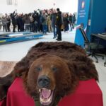 Nowe przejście graniczne Malhowice-Niżankowice (zdjęcia) 15 - Polskie Radio Rzeszów Nowe przejście graniczne Malhowice-Niżankowice (zdjęcia) - Polskie Radio Rzeszów