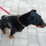 Nowe przejście graniczne Malhowice-Niżankowice (zdjęcia) 32 - Polskie Radio Rzeszów Nowe przejście graniczne Malhowice-Niżankowice (zdjęcia) - Polskie Radio Rzeszów