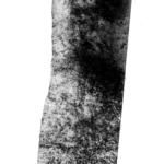 Nowa wystawa w Radiowej Galerii pod Zegarem 35 - Polskie Radio Rzeszów Nowa wystawa w Radiowej Galerii pod Zegarem - Polskie Radio Rzeszów