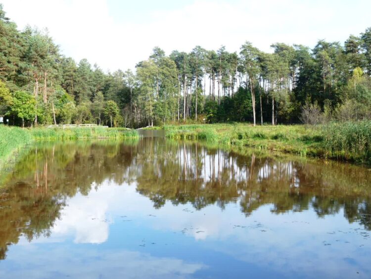 Fot. Nadleśnictwo Leżajsk