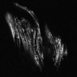 Nowa wystawa w Radiowej Galerii pod Zegarem 36 - Polskie Radio Rzeszów Nowa wystawa w Radiowej Galerii pod Zegarem - Polskie Radio Rzeszów