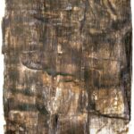 Nowa wystawa w Radiowej Galerii pod Zegarem 12 - Polskie Radio Rzeszów Nowa wystawa w Radiowej Galerii pod Zegarem - Polskie Radio Rzeszów