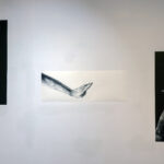 Nowa wystawa w Radiowej Galerii pod Zegarem 45 - Polskie Radio Rzeszów Nowa wystawa w Radiowej Galerii pod Zegarem - Polskie Radio Rzeszów