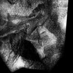 Nowa wystawa w Radiowej Galerii pod Zegarem 46 - Polskie Radio Rzeszów Nowa wystawa w Radiowej Galerii pod Zegarem - Polskie Radio Rzeszów