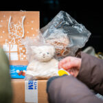 Radiowa akcja ''Pomóż Dzieciom Przetrwać Zimę" (zdjęcia) 32 - Polskie Radio Rzeszów Radiowa akcja ''Pomóż Dzieciom Przetrwać Zimę" (zdjęcia) - Polskie Radio Rzeszów