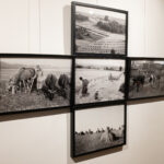 Wystawa "80." w Galerii Fotografii Miasta Rzeszowa 10 - Polskie Radio Rzeszów Wystawa "80." w Galerii Fotografii Miasta Rzeszowa - Polskie Radio Rzeszów