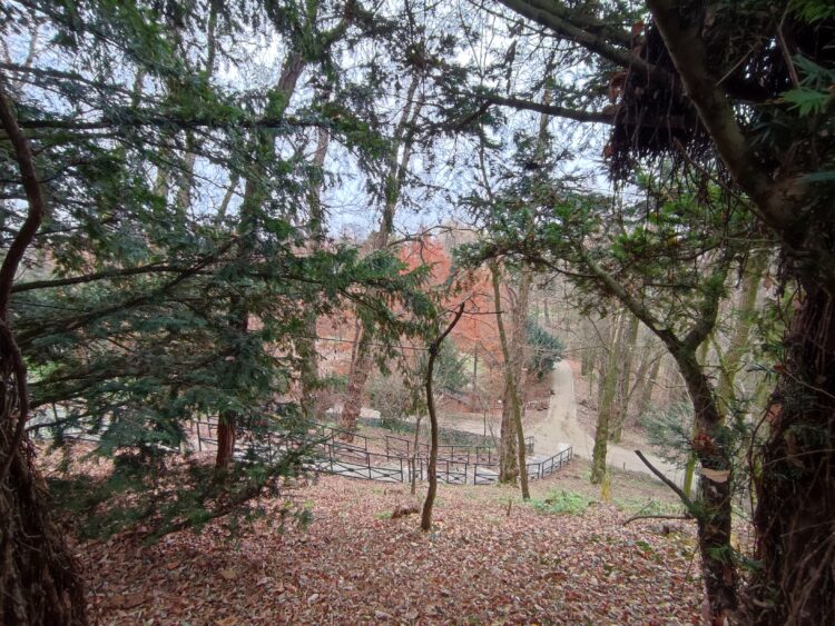 Zima w Arboretum i Zakładzie Fizjografii w Bolestraszycach pod Przemyślem