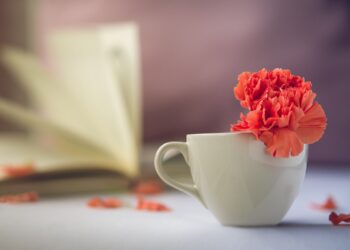 W&nbsp;regionie przybywa stulatków