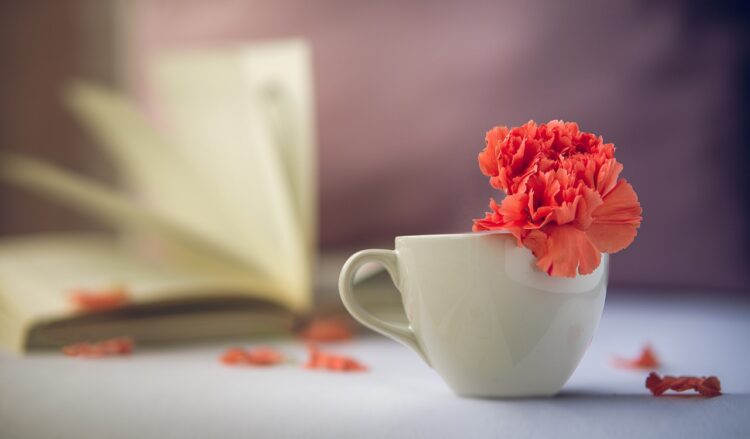 W regionie przybywa stulatków