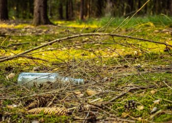 Zaśmiecali las, zostali namierzeni dzięki fotopułapce