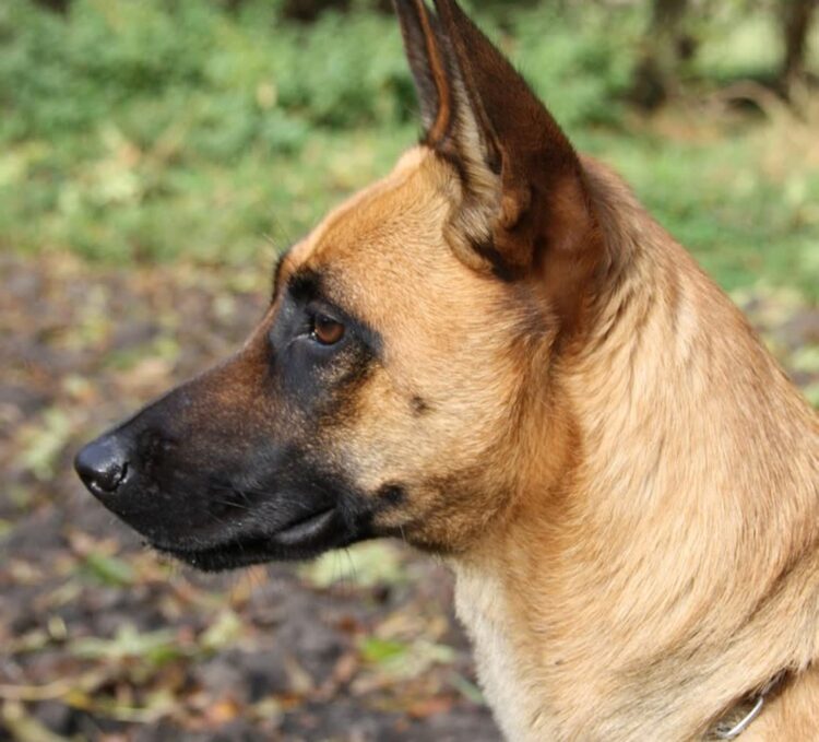 Fot. pixabay.com/ilustracyjne