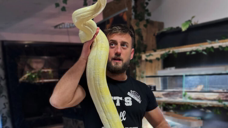 Od dziecka fascynują go gady