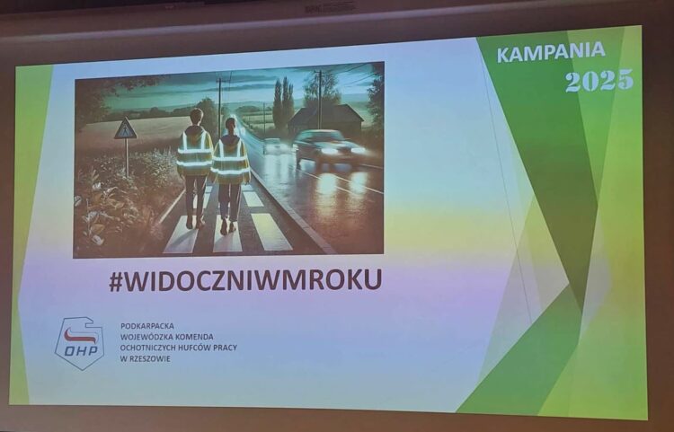 Kampania hufców pracy - bezpieczeństwo pieszych 1 - Polskie Radio Rzeszów Fot. O. Hałabud