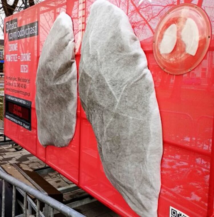 Instalacja „Mobilne płuca” na rynku w Stalowej Woli