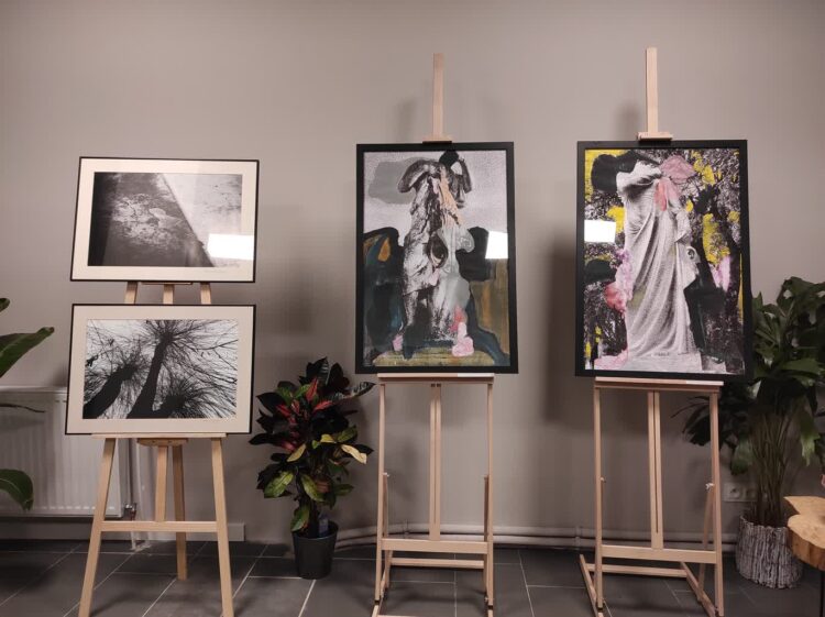 Bukiet twórczy w Rzeszowie