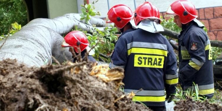 Fot. Państwowa Straż Poząrna