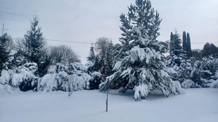 Fot. PRRz/ilustracyjna