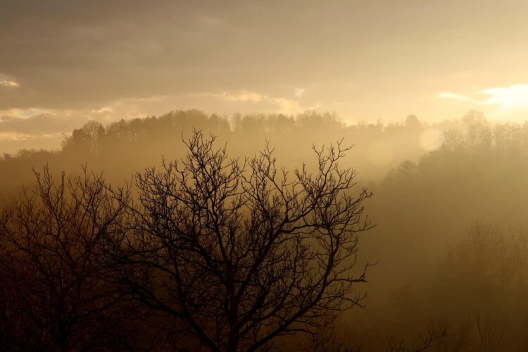 Smog w powiatach rzeszowskim i dębickim 1 - Polskie Radio Rzeszów Fot. pixabay.com
