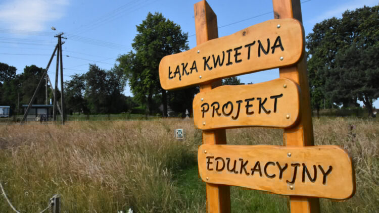 Ruszył nabór do konkursu „Fundusz sołecki – najlepsza inicjatywa” 1 - Polskie Radio Rzeszów Fot. PRRz/ilustracyjna