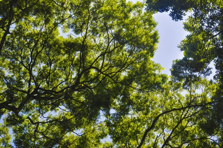 Fot. pixabay.com/ilustracyjne