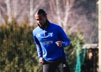 Holender w&nbsp;Lubaczowie