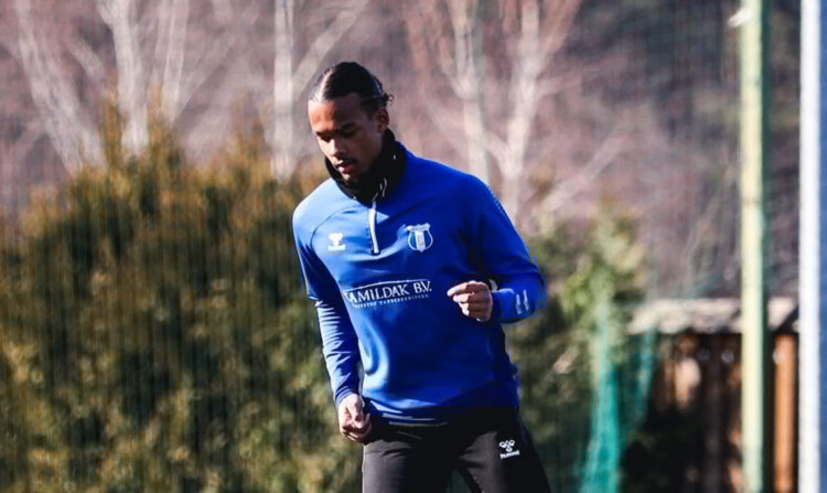 Holender w Lubaczowie