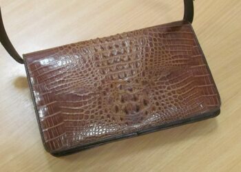 Nielegalny przemyt torebek ze&nbsp;skóry węża i&nbsp;krokodyla w&nbsp;Medyce