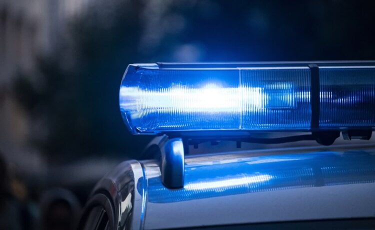 Tragiczny wypadek w lesie w miejscowości Polana. Jedna osoba nie żyje