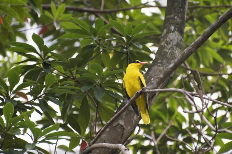 Piękniejsza płeć piękna 1 - Polskie Radio Rzeszów Piękniejsza płeć piękna