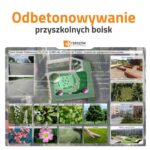 Z rzeszowskich szkół znikną stare, wysłużone boiska i place 2 - Polskie Radio Rzeszów Z rzeszowskich szkół znikną stare, wysłużone boiska i place - Polskie Radio Rzeszów