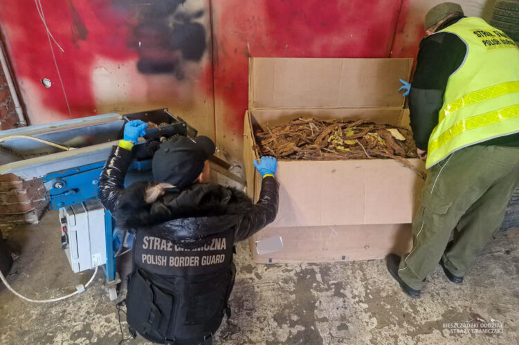 Nielegalne papierosy w Głogowie Młp. warte prawie ćwierć miliona