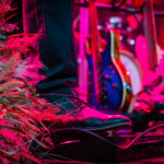 Koncert Zespołu Żmije (fotorelacja) - Polskie Radio Rzeszów