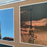 W Tu i Teraz o warunkach bytowania ptaków w miastach 4 - Polskie Radio Rzeszów W Tu i Teraz o warunkach bytowania ptaków w miastach - Polskie Radio Rzeszów