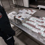 Spaniel Bruce znów na tropie. Udaremnił przemyt papierosów - Polskie Radio Rzeszów