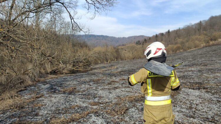 Kolejny pożar traw w Bieszczadach 1 - Polskie Radio Rzeszów Kolejny pożar traw w Bieszczadach