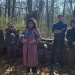 Rezerwat topoli czarnej i białej pod Stalową Wolą 4 - Polskie Radio Rzeszów Rezerwat topoli czarnej i białej pod Stalową Wolą - Polskie Radio Rzeszów