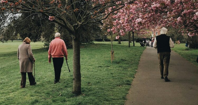 ​​​​Seniorzy z Nowej Dęby przywitali pierwszy dzień wiosny