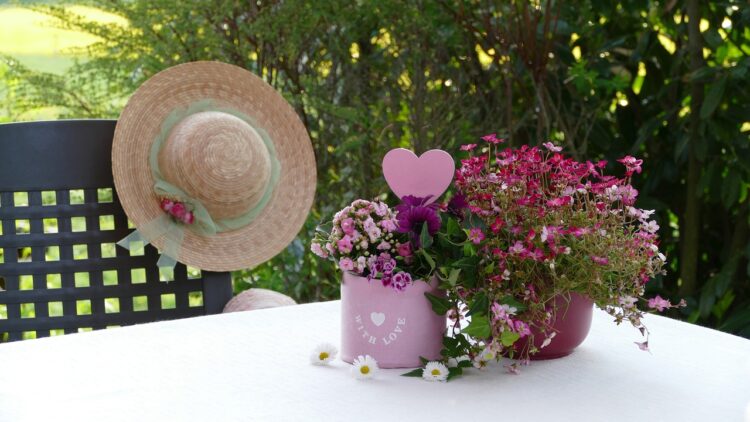 6 marca - Dzień Czystego Stołu 1 - Polskie Radio Rzeszów 6 marca – Dzień Czystego Stołu