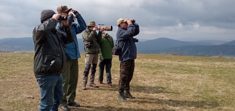 W poszukiwaniu orlików krzykliwych 1 - Polskie Radio Rzeszów W poszukiwaniu orlików krzykliwych