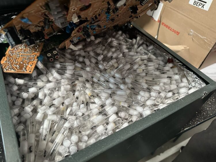 Nielegalny transport ponad 2500 mrówek odkryty przez lwowskich celników