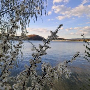 W górach wiosennie i ciepło (zdjęcia) - Polskie Radio Rzeszów