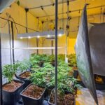 CBŚP rozbiło grupę przestępczą w Przemyślu - Polskie Radio Rzeszów