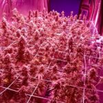 CBŚP rozbiło grupę przestępczą w Przemyślu - Polskie Radio Rzeszów