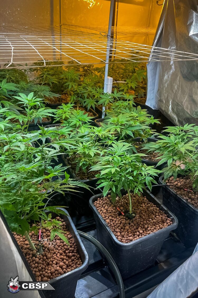 CBŚP rozbiło grupę przestępczą w Przemyślu