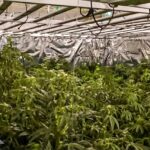 CBŚP rozbiło grupę przestępczą w Przemyślu - Polskie Radio Rzeszów