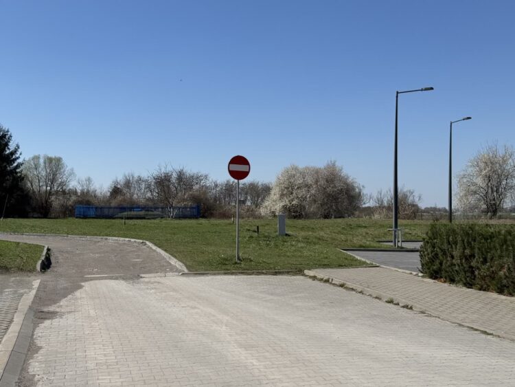 Wybieg dla psów w Lubaczowie? Pomysł radnego wywołał burzliwą dyskusję