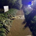 Zalane domy w Pawłosiowie, służby w akcji - Polskie Radio Rzeszów