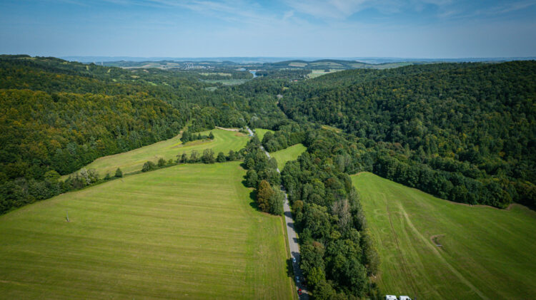 Naukowcy stworzą nowe plany ochrony cennych obszarów przyrodniczych